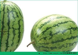 吃瓜娄子过敏,娄子过敏背后的真相